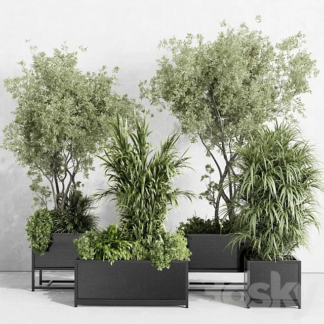 metal box plants on stand - set indoor plant 425 3D Model