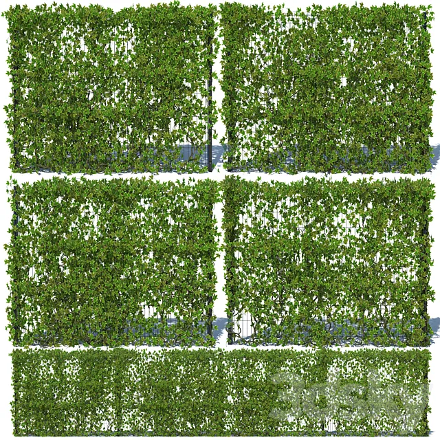 Metal Fence 3D (H-203) with Ivy v3 Free Download