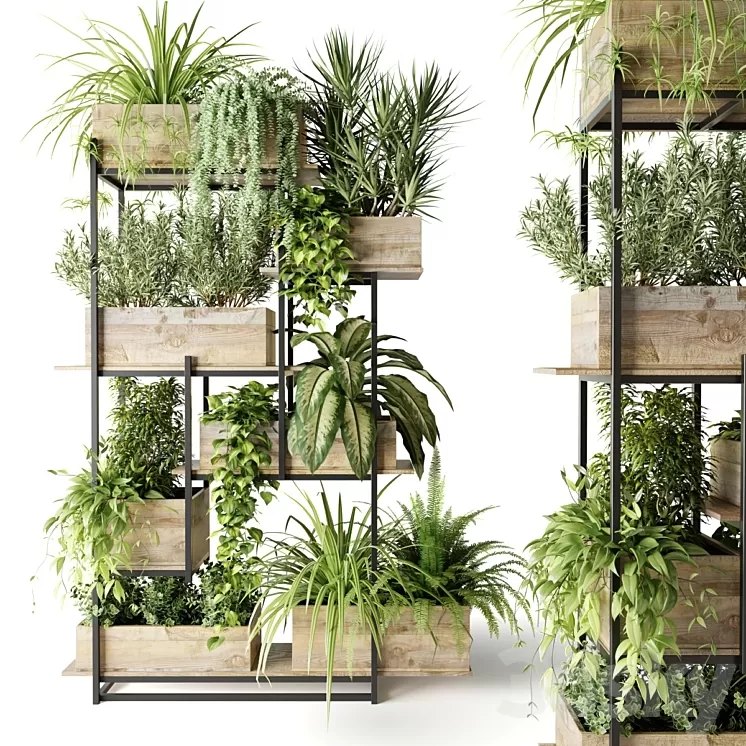 Metal rack with plants in wooden boxes 3D Model Free