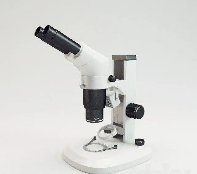micro 3D Model