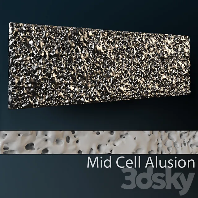 Mid Cell Wall 3D Model
