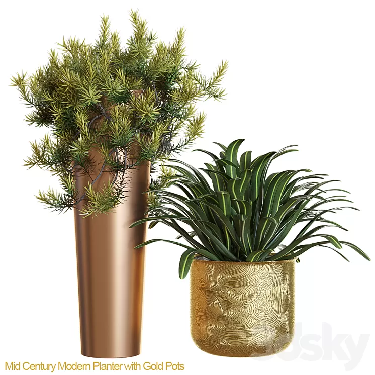 Mid century modern planter with gold 3D Model