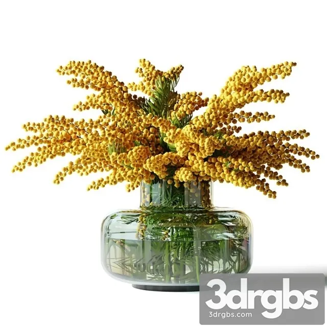 Mimosa In A Low Glass Vase 3D Model Free