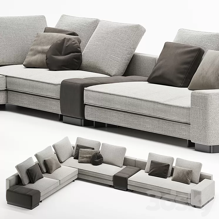 Minotti daniels 2