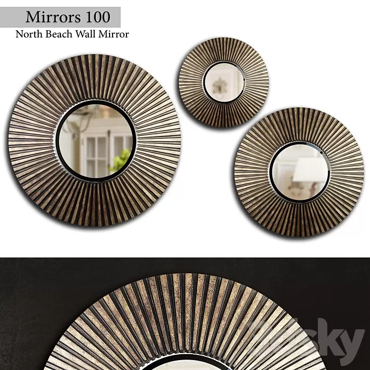 Mirror 100 3D Model