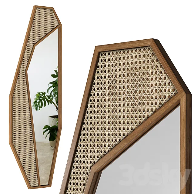 Mirror Rattan Cactus _ Cactus Free Download