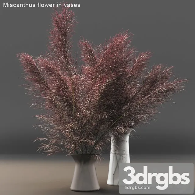 Miscanthus Flower in Vases 3D Model Free