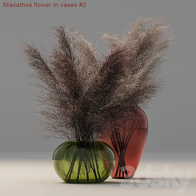 Miscathus flower in vases # 2 3DModel