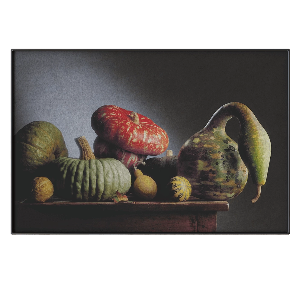 MISSANA - Picture RNC14 3D Model