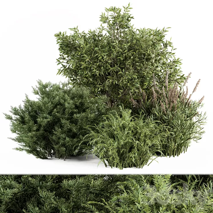 Mixed Plant Bush - Bush Set 37 3D Model