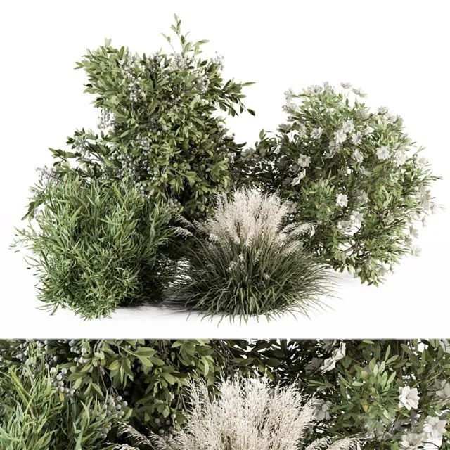 Mixed Plant Bush - Bush Set 49 3D Model