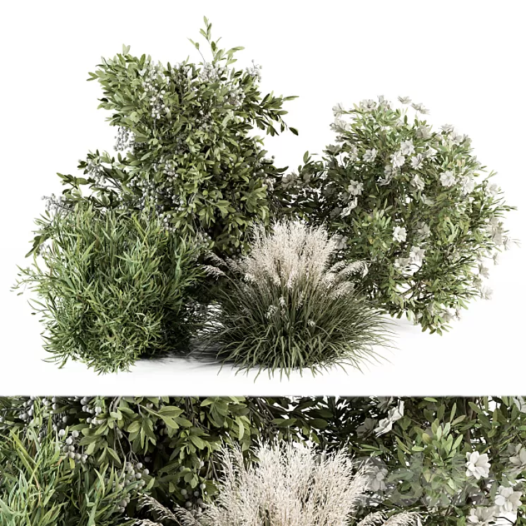 Mixed Plant Bush - Bush Set 49 3D Model Free