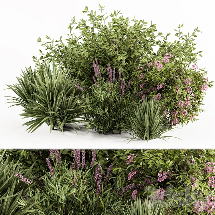 Mixed Plant Bush Green and Purple - Bush Set 50 3D Model Free