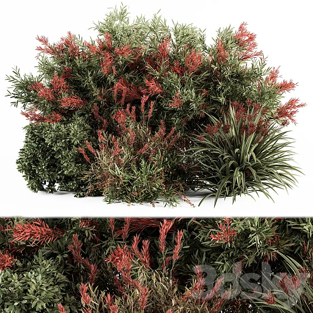 Mixed Plant Bush Green and Red - Bush Set 51 3D Model