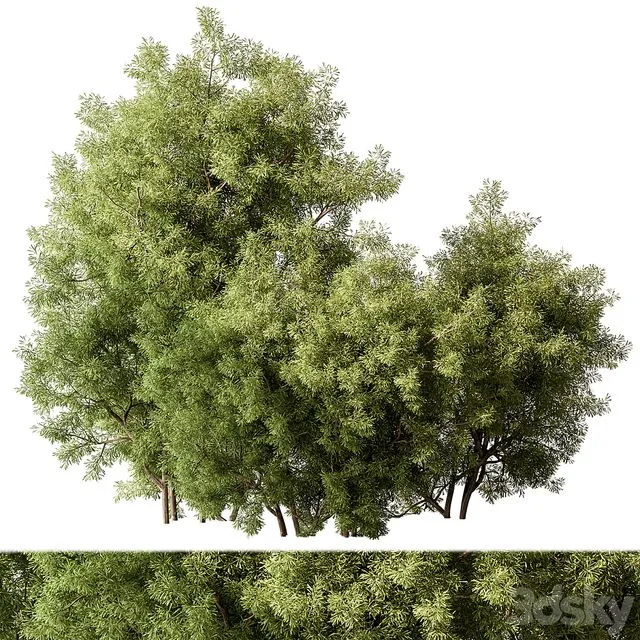 Mixed Plant Bush Set 105 3D Model