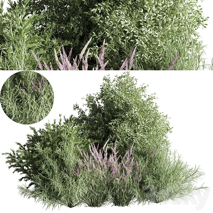 mixed_plant_and_bush_01 3D Model Free