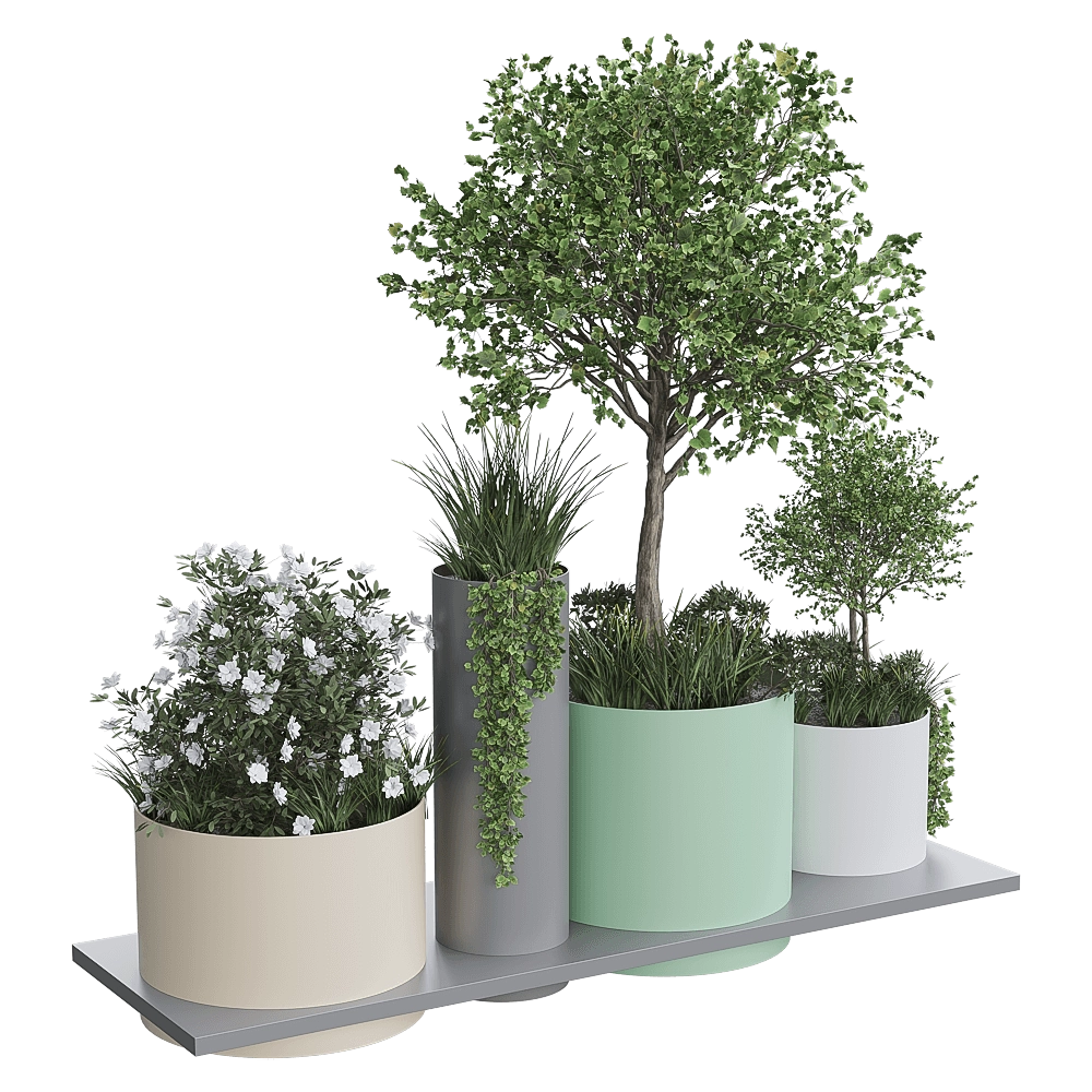 mmcité - Planter Polys 3D Model