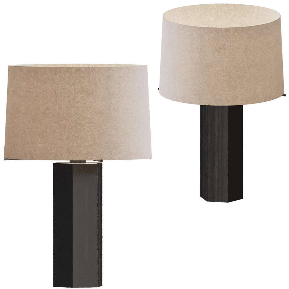 Modenature - Table lamp Carpi 3D Model