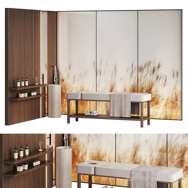 Modern minimalistic spa with wheat ears behind glass 3D Model