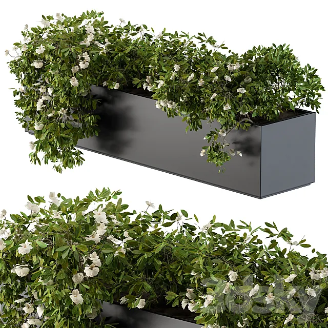 Modern Planter Box White Flower 3D Model