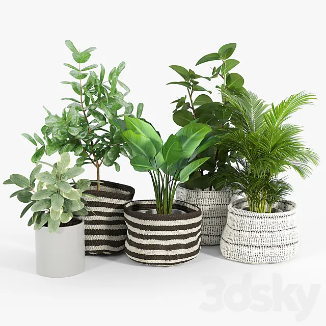 Mohave Stripe Baskets 3D Model