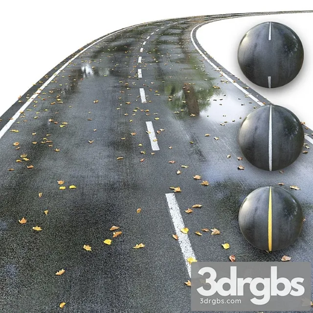 Mokraia Doroga S Razmetkoi Osen Redaktiruemaia 3D Model Free