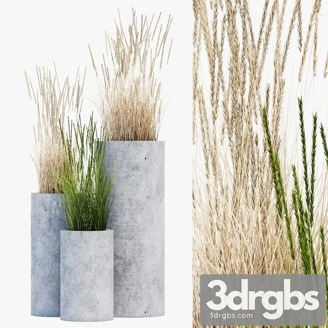 Mone Four 3D Model Free