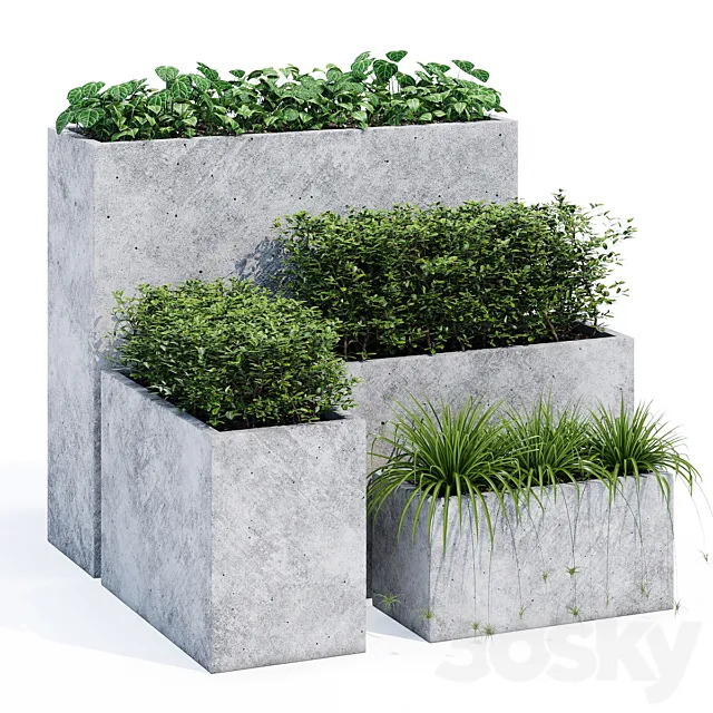 Mone three 3D Model