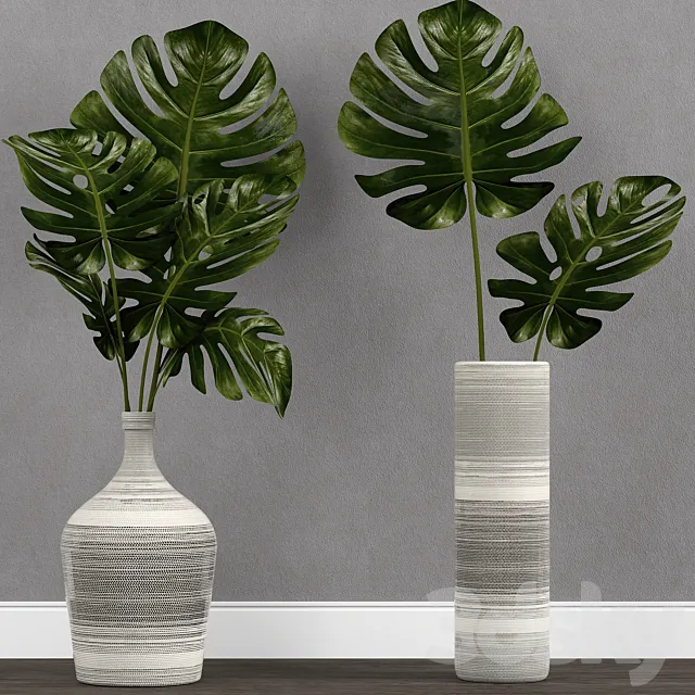 Monstera leaf in vase 3DModel