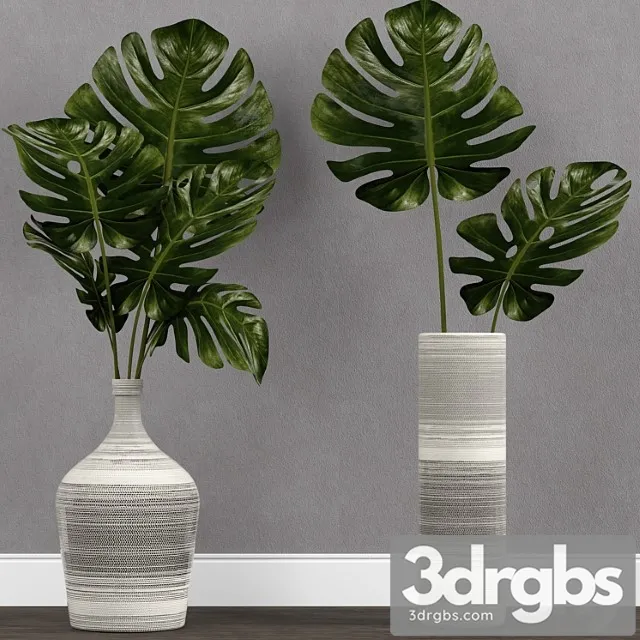 Monstera leaf in vase