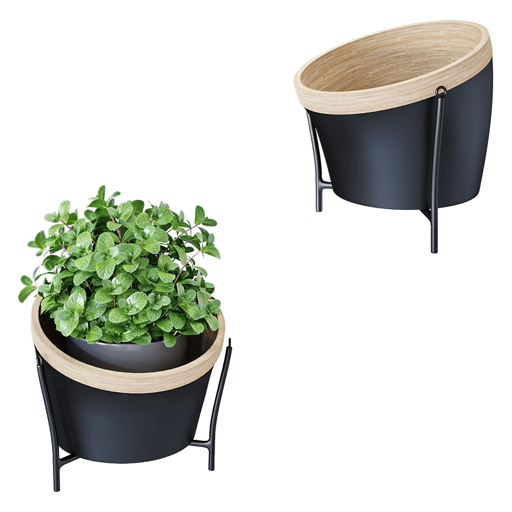 Montly - Planters for flowers MON15 3D Model
