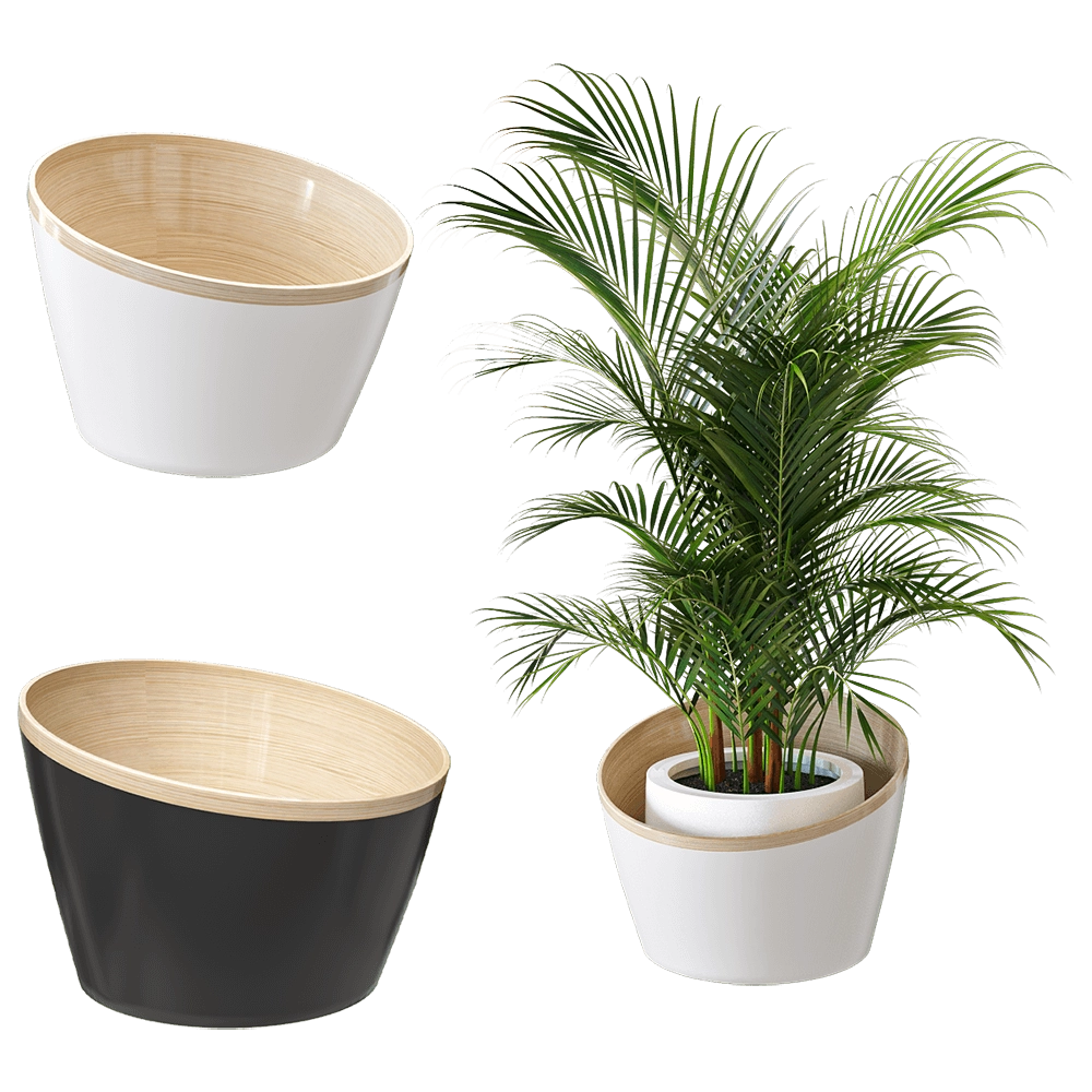 Montly - Planters for flowers MON25 3D Model