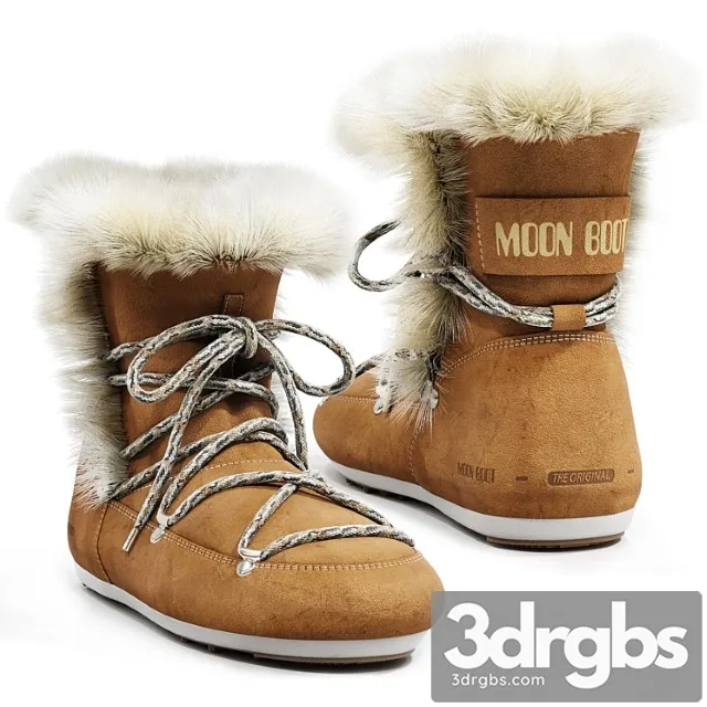 Moon boot