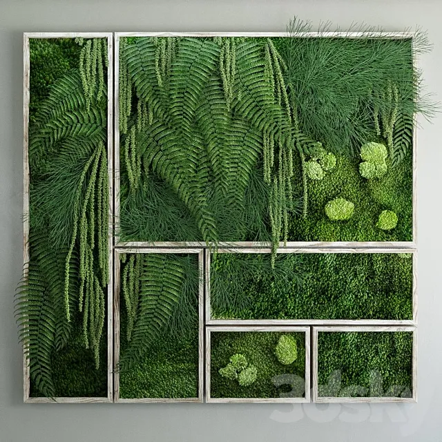 Moss and fern fytowall 3DModel