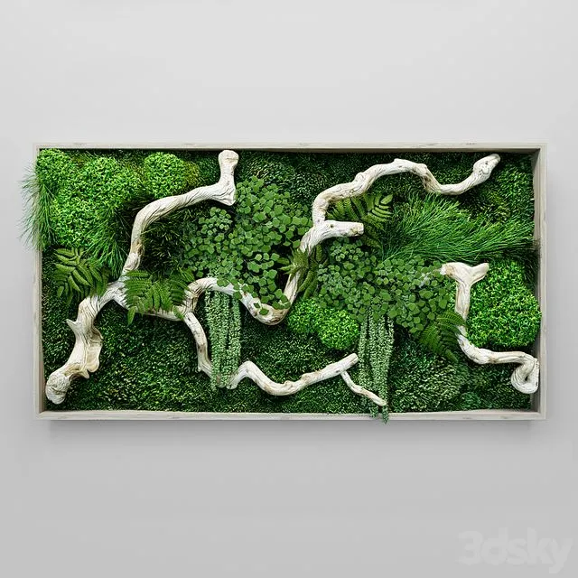 Moss fern and snag fytowall 3D Model