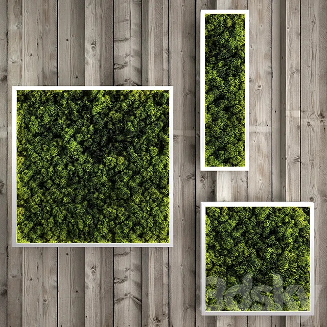 Moss modules 3D Model