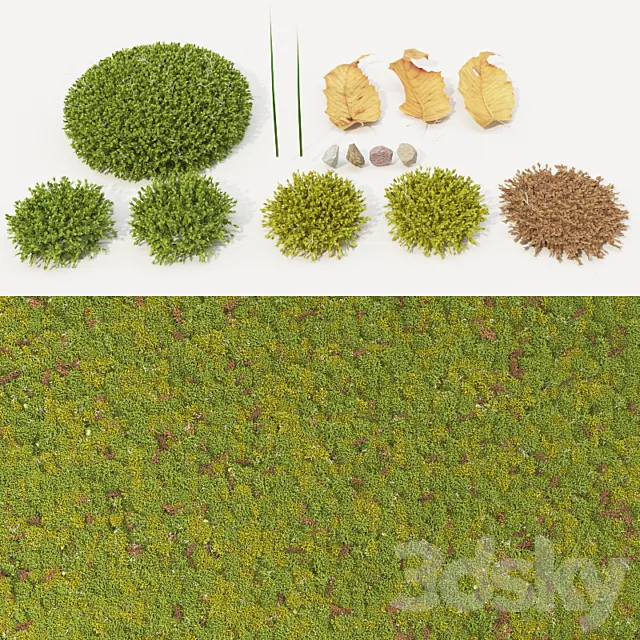 moss_collection 3DModel