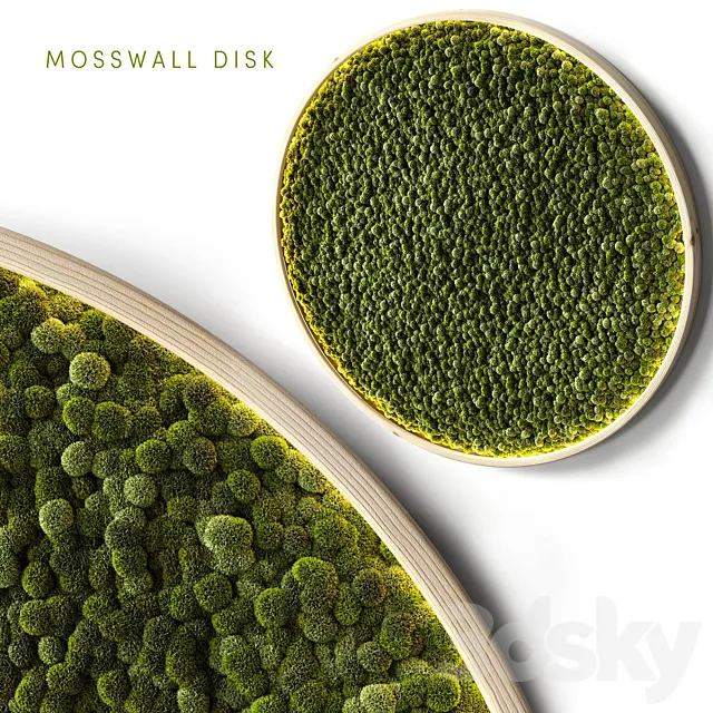 Mosswall disk 2 3D Model