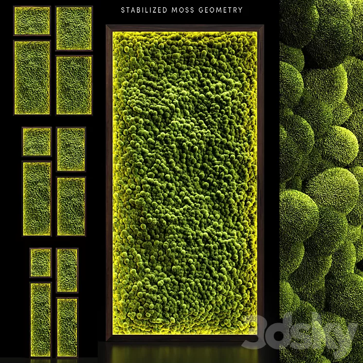 Mosswalls 2 3D Model