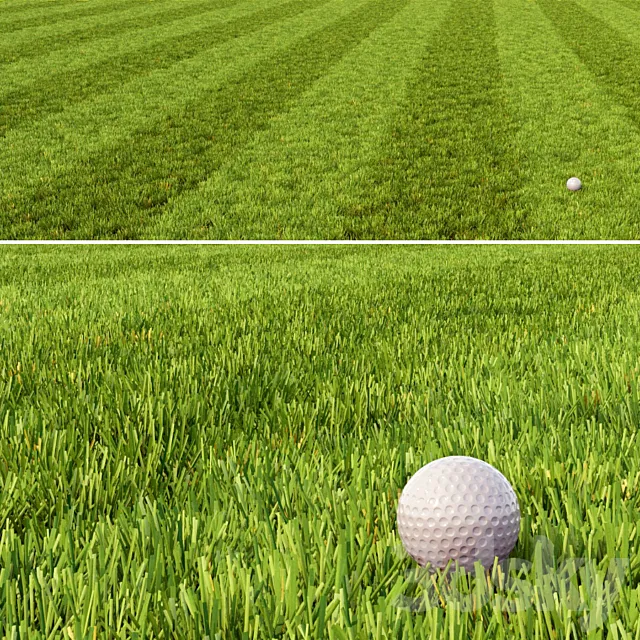 Mowed Lawn 3D Model