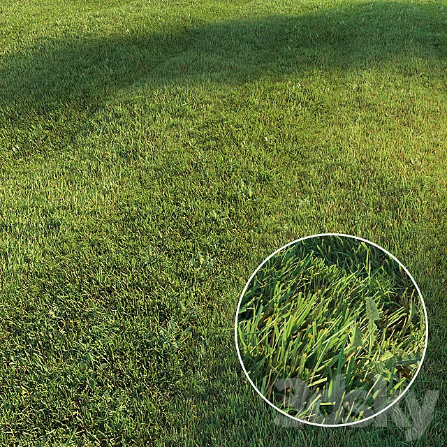 Mowed lawn 3D Model