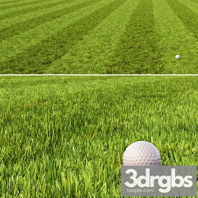 Mown Lawn 1 3D Model Free