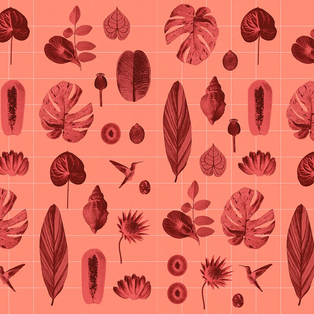 Murals - Wallpaper CORNET DE VOYAGE 3D Model