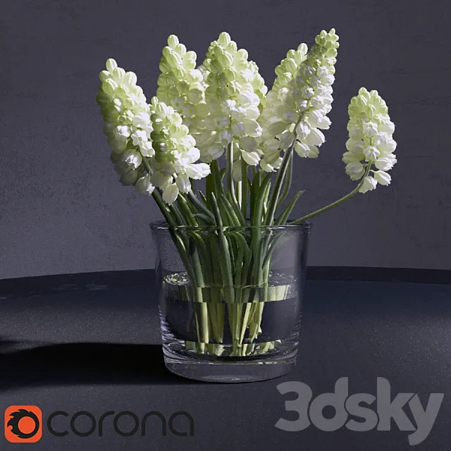 Muscari_Hyacinthaceae 3D Model