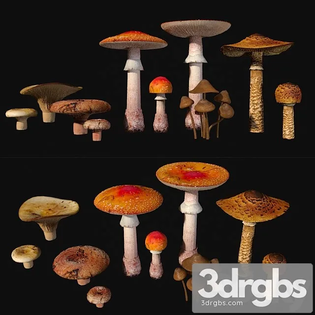 Mushrooms. set1 3D Model Free