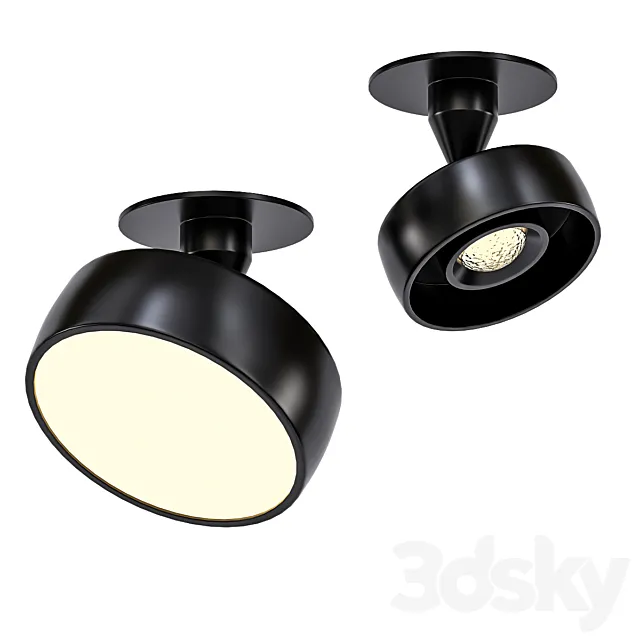 Myco IN 3D Model