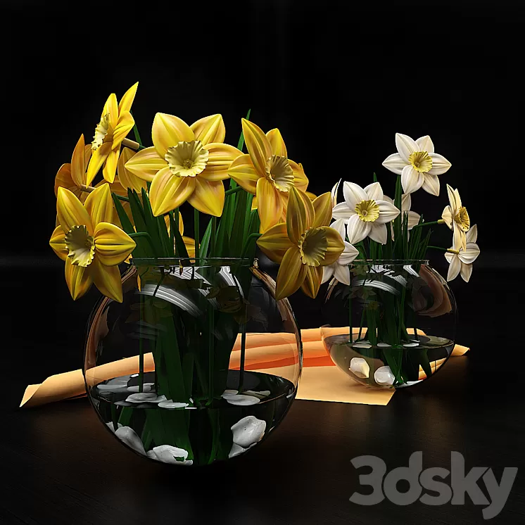 Narcissus 3D Model