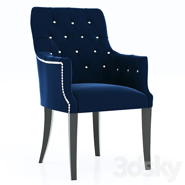 NASU 303 abby 3D Model