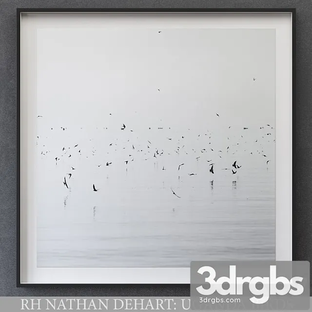 Nathan Dehart Uganda Birds 3D Model Free