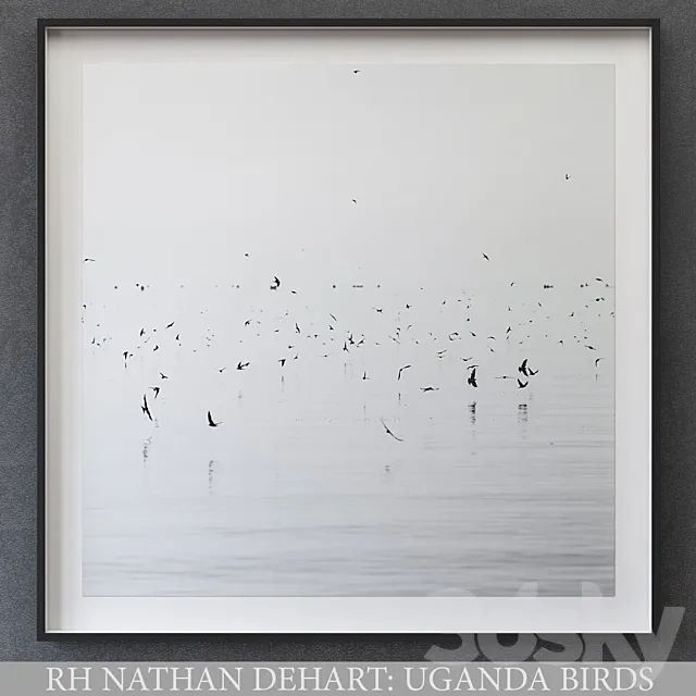 NATHAN DEHART UGANDA BIRDS 3DModel